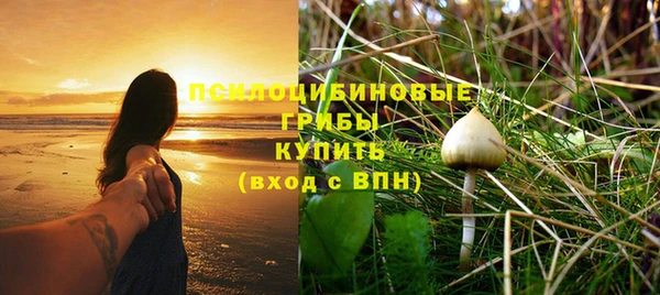 PSILOCYBIN Баксан